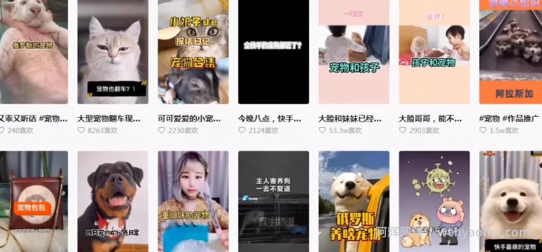 冷门蓝海賺米项目，新手零基础创业术