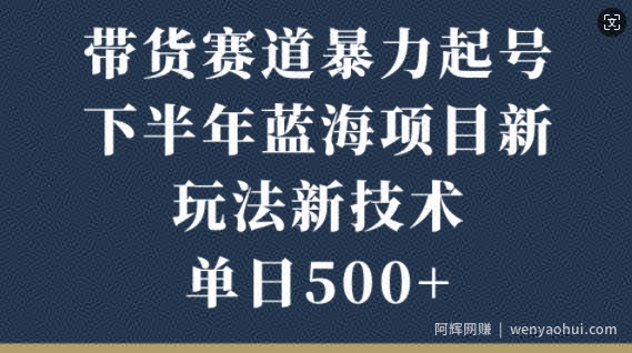 带货赛道暴力起号，下半年蓝海项目，新玩法新技术，单日500+