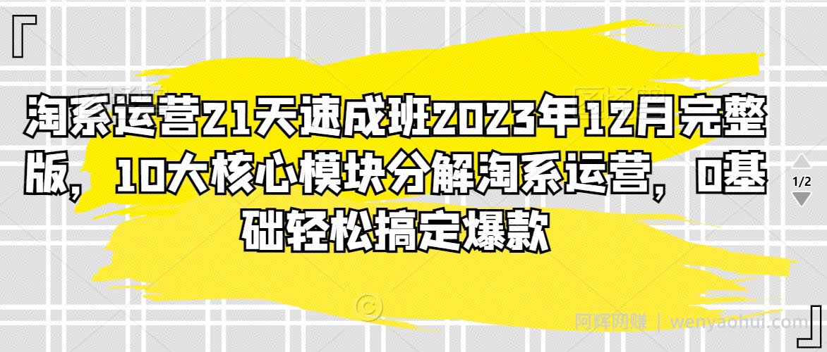 淘系运营21天速成班2023年12月完整版，10大核心模块分解淘系运营，0基础轻松搞定爆款