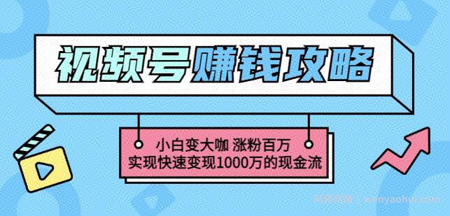 玩转微信视频号賺米：小白变大咖涨粉百万实现快速变现1000万的现金流