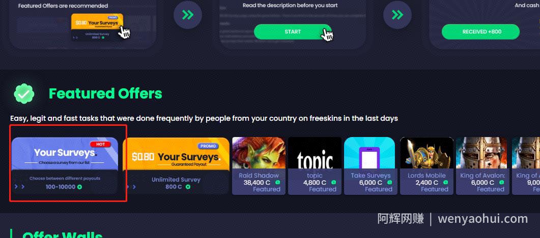 国外网创：每月保底美元1000+，FREESKINS多渠道賺米攻略