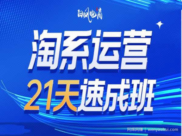 淘系运营21天速成班35期，年前最后一波和2025方向
