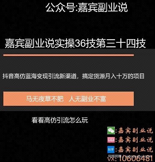 嘉宾副业说实操36技第三十四技：抖音高仿蓝海变现引流新渠道，搞定货源月入十万级别暴力项目