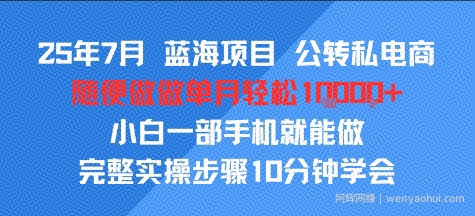 25年7月蓝海项目，公转私电商，随便做做单月轻松1w，小白一部手机就能做，完整实操步骤10分钟学会