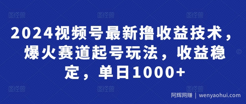 2024视频号最新撸收益技术，爆火赛道起号玩法，收益稳定，单日1000+