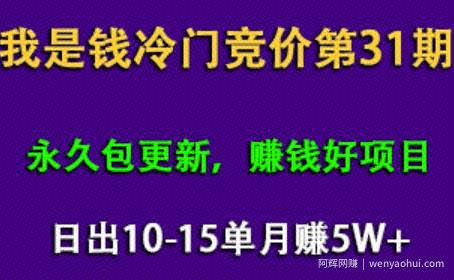 我是钱第31期网授课程网授课百度冷门竞价，日出10-15单，月赚5w+（完结）