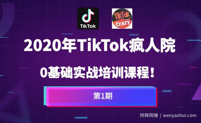 疯人院Tiktok海外版抖音零基础实战课程第1期，让你方位掌握TikTok基础运营方法