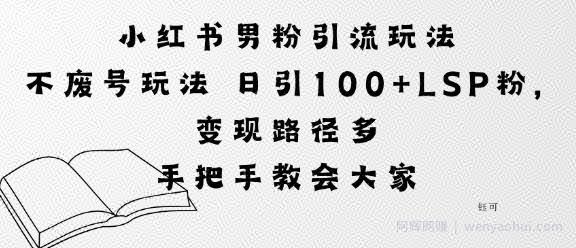 小红书男粉引流玩法不废号玩法日引100+LSP粉，变现路径多