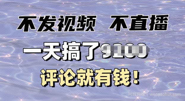 不发作品不直播，评论就有钱，一条最高10块，一天搞多张