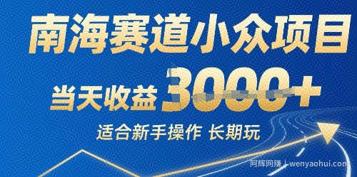 南海赛道小众项目，当天收益1k+适合新手操作可以长期玩