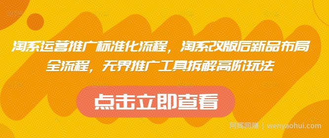 淘系运营推广标准化流程，​淘系改版后新品布局全流程，无界推广工具拆解高阶玩法