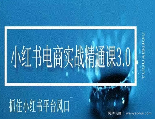 小红书电商实战精通课3.0，抓住小红书平台的风口，不错过有一个賺米的机会