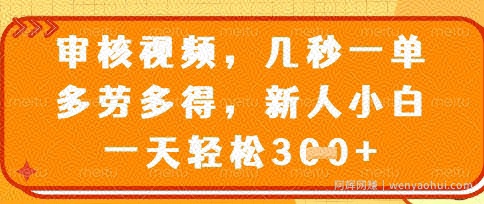 最新审核视频，几秒一单，多劳多得，新人小白一天轻松3张【揭秘】