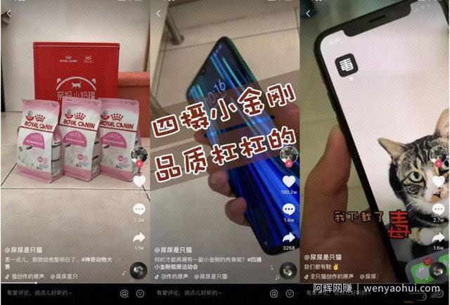 分析完1000个典型案例，告诉你宠物账号都靠什么发财