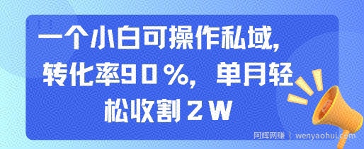 一个小白可操作私域，转化率90%，单月轻松收割2W