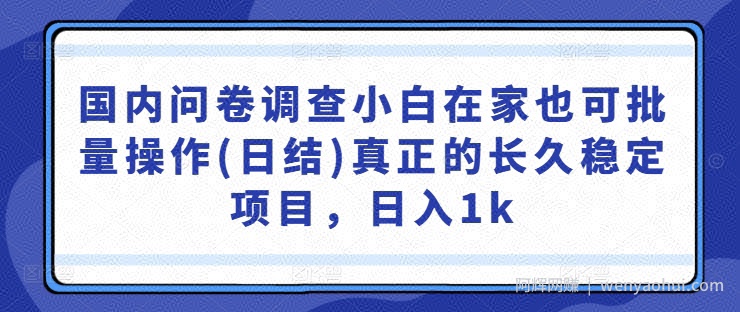 国内问卷调查小白在家也可批量操作(日结)真正的长久稳定项目，日入1k【揭秘】