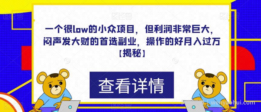 一个很low的小众项目，但利润非常巨大，闷声发大财的首选副业，操作的好月入过万【揭秘】