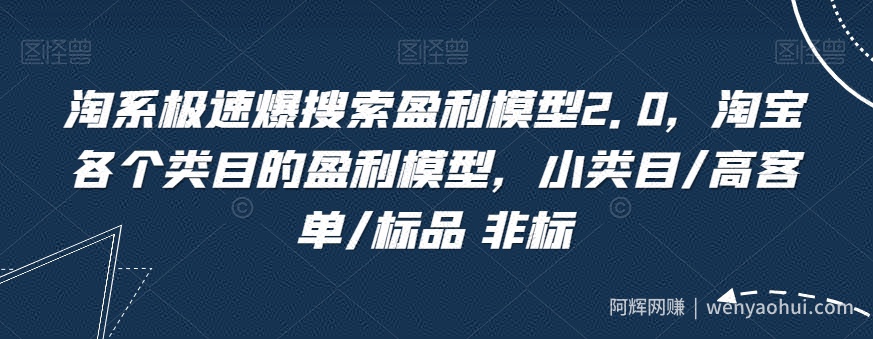 淘系极速爆搜索盈利模型2.0，淘宝各个类目的盈利模型，小类目/高客单/标品 非标