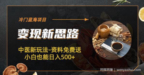 冷门蓝海项目-中医新玩法-资料免费送小白也能日入500+【揭秘】