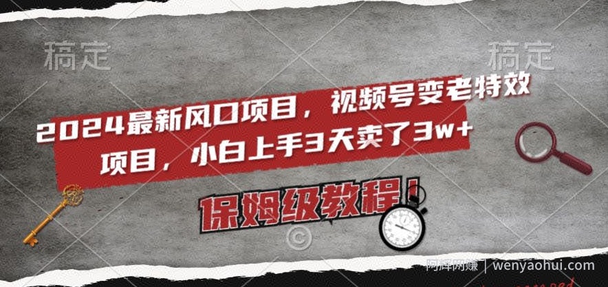 2024最新风口项目，视频号变老特效项目，电脑小白上手3天卖了3w+，保姆级教程【揭秘】