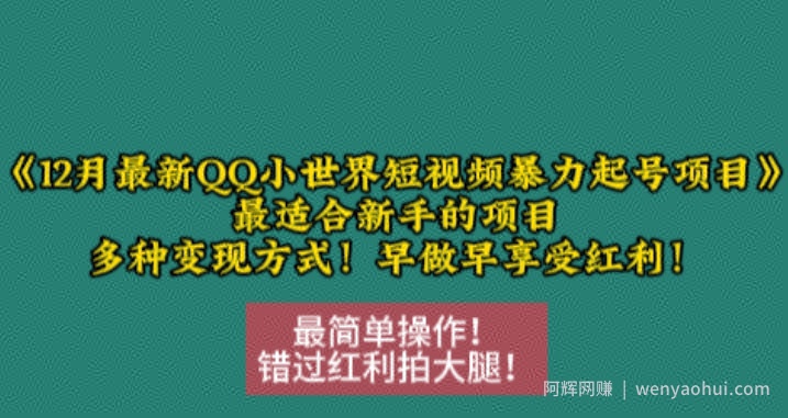 12月最新QQ小世界短视频暴力起号项目，最适合新手的项目，多种变现方式