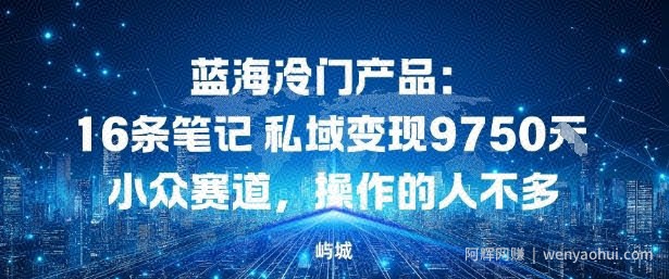蓝海冷门产品：16条笔记私域变现9750米，小众赛道，操作的人不多