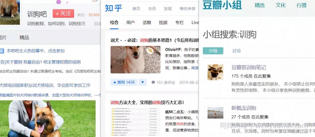 冷门蓝海賺米项目，新手零基础创业术