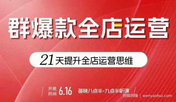 贾真电商群爆款全店运营，21天提升全店运营思维，起店、全店运营爆款不断