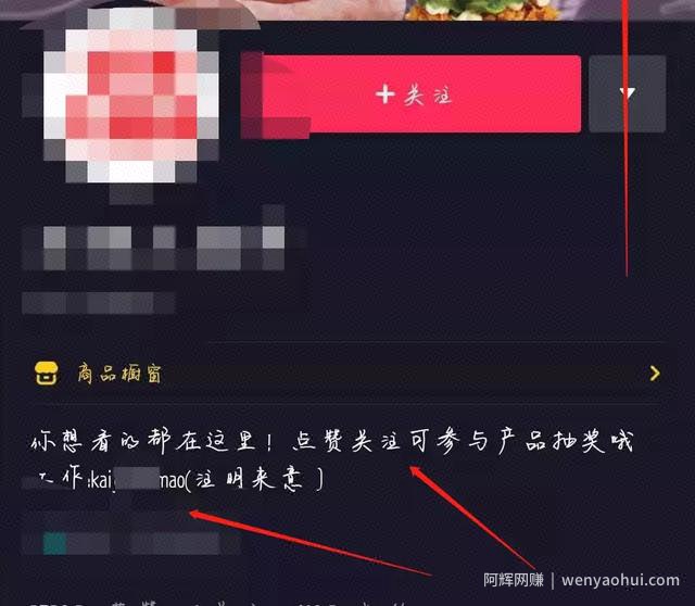 我花了两万学费学会的网创项目，今日就为大家揭秘几个