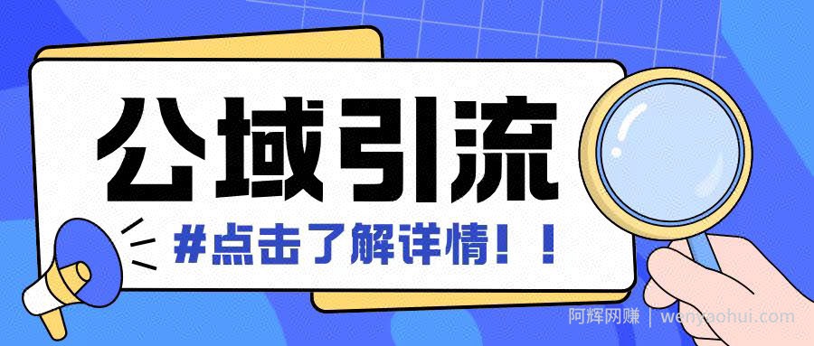 全公域平台，引流创业粉自热模版玩法，号称日引500+创业粉可矩阵操作