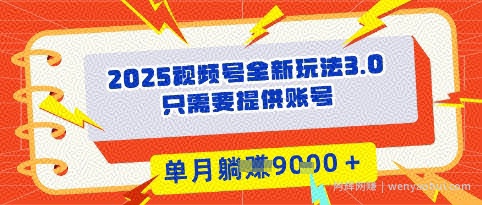 2025年视频号全新玩法3.0，操作爆款门槛低， 团队赋能，单月入9k