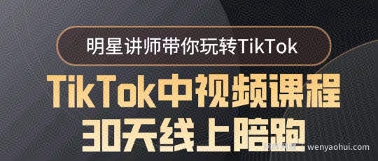TikTok中视频课程30天线上陪跑，明星讲师带你玩转TikTok