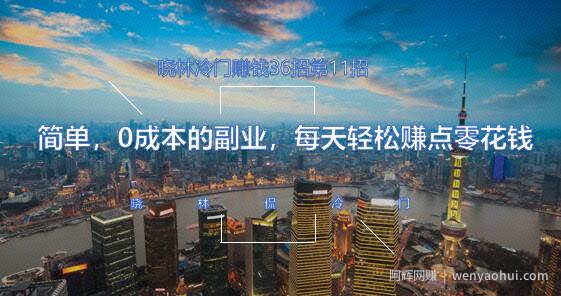 晓林冷门賺米36招第11招简单，0成本的副业，每天轻松赚点零花钱【视频课程】