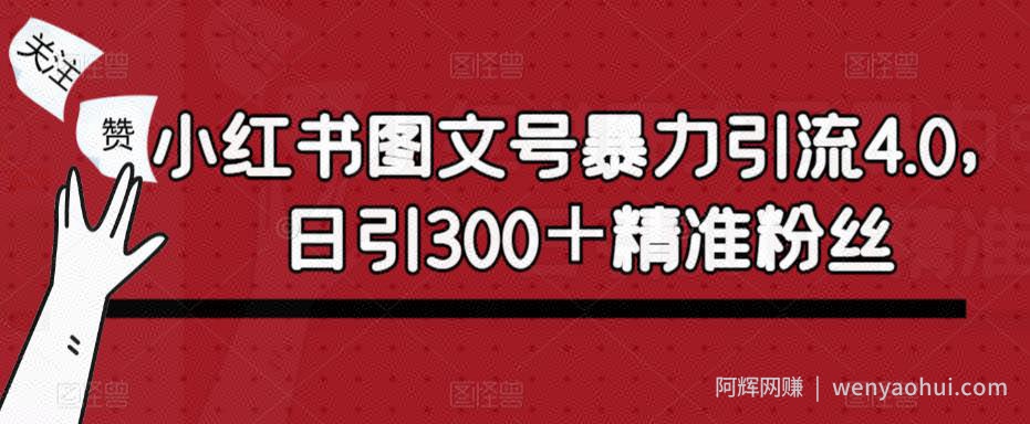 小红书图文号暴力引流4.0，日引300＋精准粉丝【揭秘】