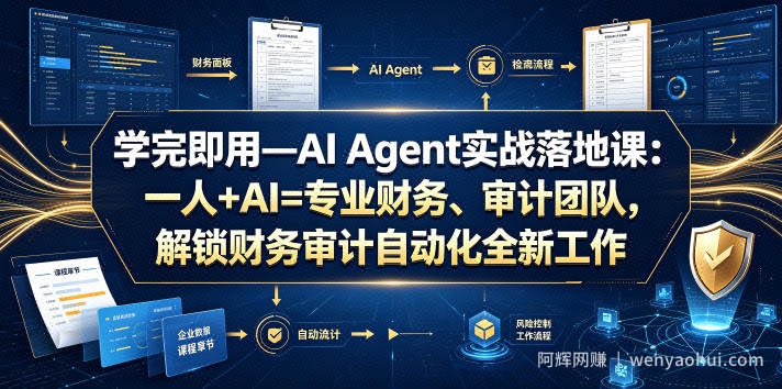 学完即用—AI Agent实战落地课:一人+AI=专业财务、审计团队,解锁财务审计自动化全新工作模式(更新0804)