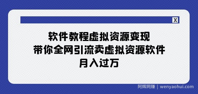 软件教程虚拟资源变现：带你全网引流卖虚拟资源软件，月入过万（11节课）