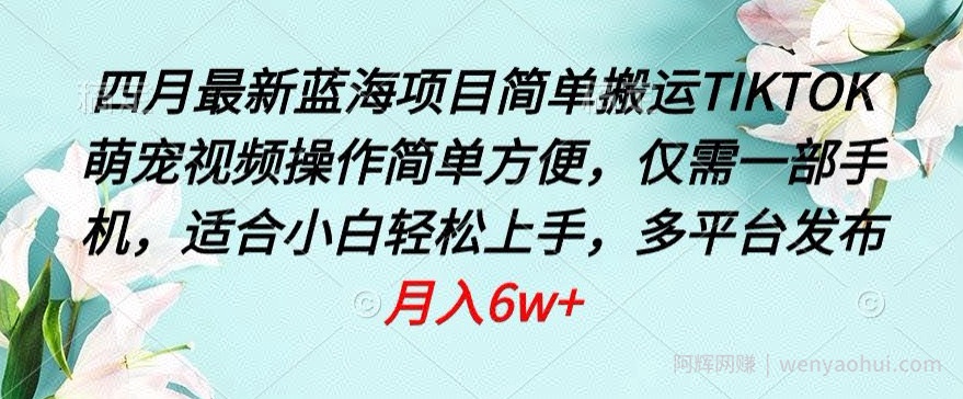 四月最新蓝海项目，简单搬运TIKTOK萌宠视频，操作简单方便，仅需一部手机【揭秘】