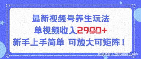 视频号养生玩法，单视频收入2.9k，新手上手简单