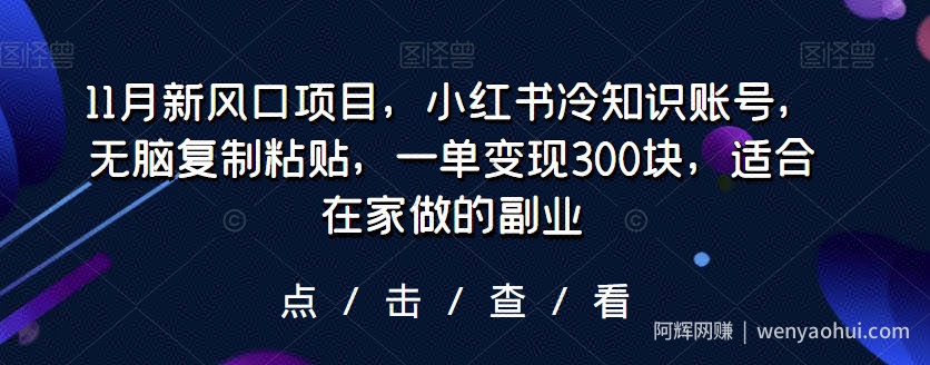 11月新风口项目，小红书冷知识账号，无脑复制粘贴，一单变现300块，适合在家做的副业