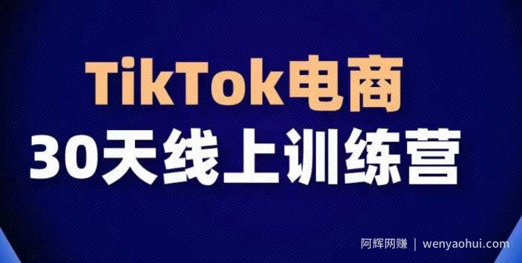 TikTok电商带货30天线上课，不可错过的全球流量洼地！