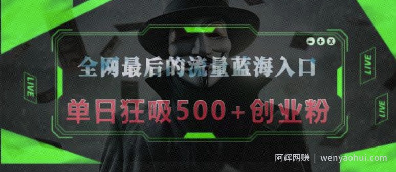 全网最后的流量蓝海入口，半小时引流50+创业粉，单日狂吸500+创业粉