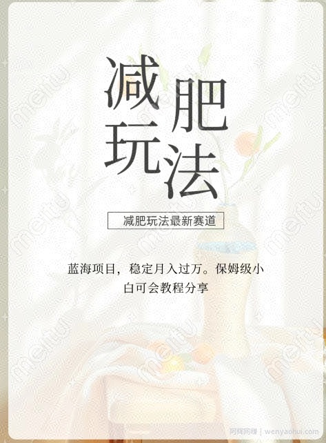 减肥流量主新玩法，轻松月入1W，可矩阵操作收入翻倍