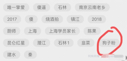求好心美女照顾狗狗吸引当地美女流量，这是人人都可做的套路，相当干的干货