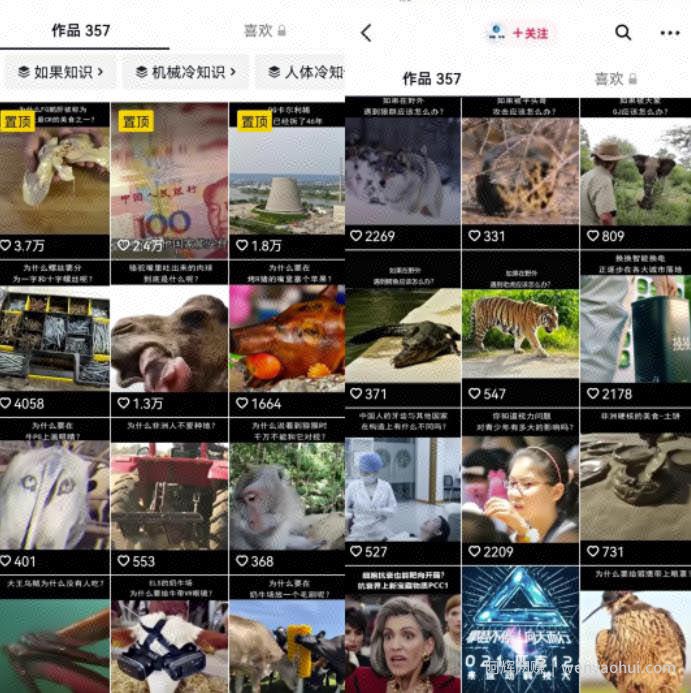 冷门短视频变现玩法思路：新手零门槛賺米，冷知识无脑照搬变现项目