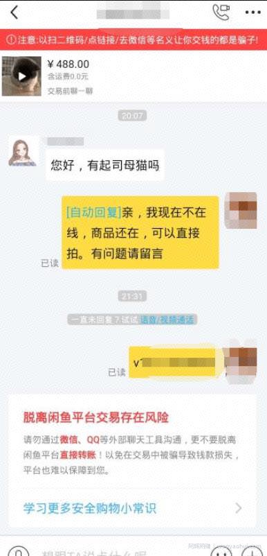 闲鱼引流宠物粉卖阿猫阿狗一单利润1000+，你干不干？