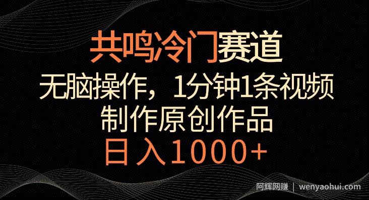 共鸣冷门赛道，无脑操作，一分钟一条视频，日入1000+【揭秘】