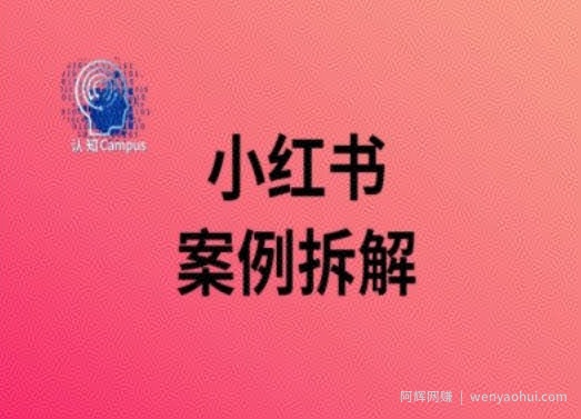 小红书案例拆解，深度解读小红书40万粉