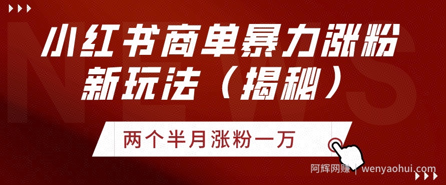 小红书商单暴力涨粉新玩法两个半月涨粉一万（揭秘）