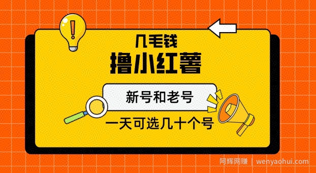 几毛钱撸小红书纯新号和老号，保姆级教程