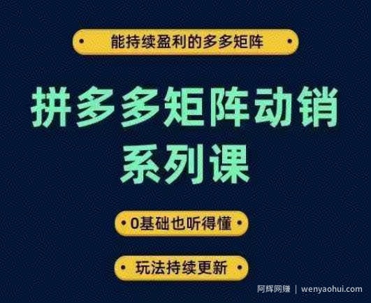 拼多多矩阵动销系列课，能持续盈利的多多矩阵，0基础也听得懂，玩法持续更新